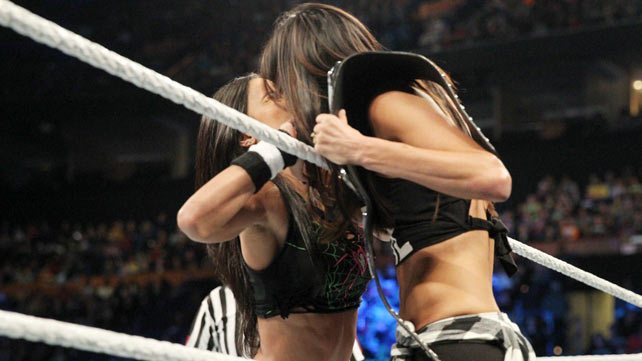 Смена чемпионов на Survivor Series 2014